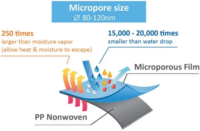 Microporous